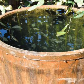 agua-de-poco-artesiano-faz-mal-Entenda-os-riscos-e-cuidados-essenciais